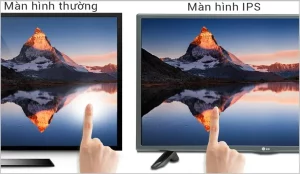 Màn hình tấm nền IPS là gì? Tại sao nó được ưa chuộng trên nhiều thiết bị?